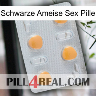 Black Ant Sex Pill 24